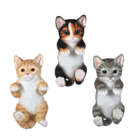 Schutting poes / kat