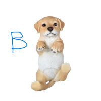 Schutting hond