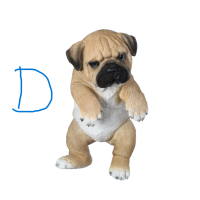 Schutting hond
